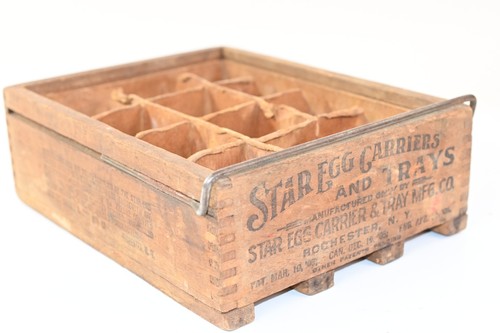 Antique star egg - egg, carrier