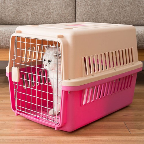 Portable pet carrier - pet, carry